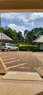 malava forest lodge - Gatunga - 0
