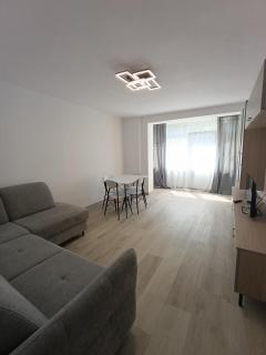 Zlata Bucovina Apartment - Suceava - 9