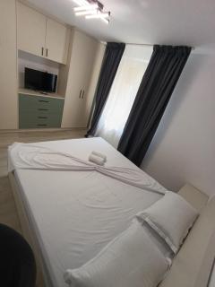Zlata Bucovina Apartment - Suceava - 8