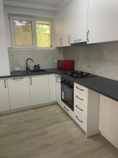 Zlata Bucovina Apartment - Suceava - 7