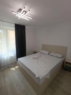 Zlata Bucovina Apartment - Suceava - 6