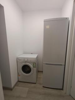 Zlata Bucovina Apartment - Suceava - 5