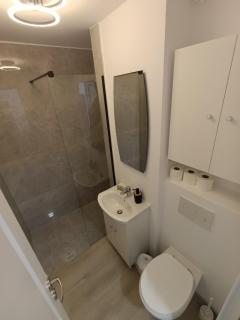 Zlata Bucovina Apartment - Suceava - 1
