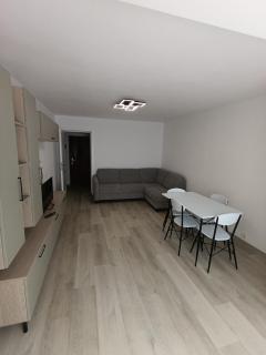 Zlata Bucovina Apartment - Suceava - 0