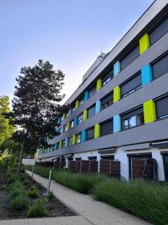 GOLDHOME Apartman - Balatonföldvár - 8