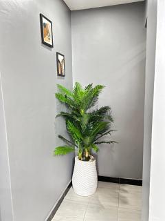 Stylish 2 BR Masaki Retreat with POOl & GYM - Dar es Salaam - 8
