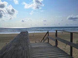Savannah - La maison des pins - Mimizan-Plage - 8