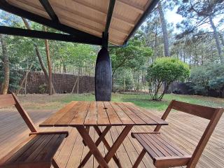 Savannah - La maison des pins - Mimizan-Plage - 5