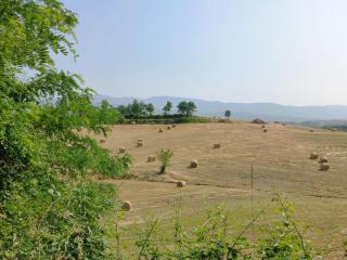 Agriturismo a casa di Toni - Monticello - 5