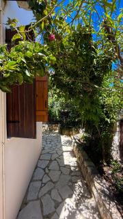 Seawood Breeze - Tavronitis - 6
