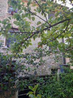 Borgo alle Mordure La Cocca - Querceta - 1