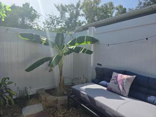 Private Tropical MIL Suite by Busch Gardens & USF - Tampa - 9
