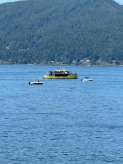 Dream House -Water Lily - Horseshoe Bay - 6