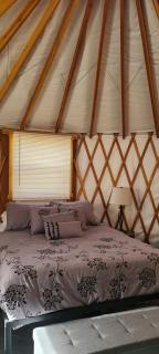 Crazy Horse - APT 1 - Kanab - 6