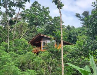 MAYU PATANPI Amazon Lodges - - 9