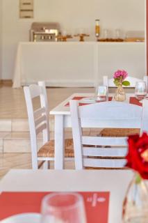 Hotel Alexandros - Ammoudia - 4