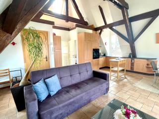Beautiful Top Floor Apartment with Lake View - Lausanne - 9