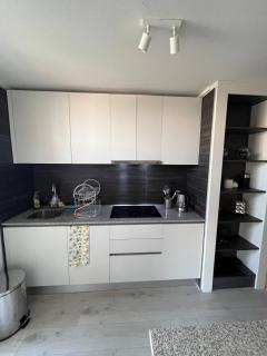 2BR/2BA, 5PAX, Vista Cordillera, 63m2, parking - Santiago - 3