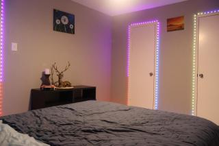 Peaceful stay near TX-6 & Bellaire - Houston - 6