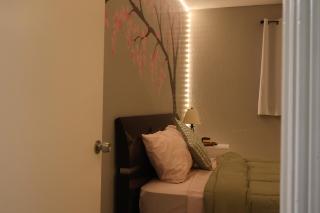 Peaceful stay near TX-6 & Bellaire - Houston - 4