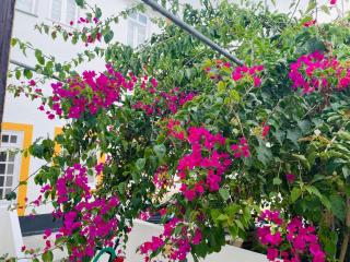 Casa da Arquitectura - Urbanismo - 5