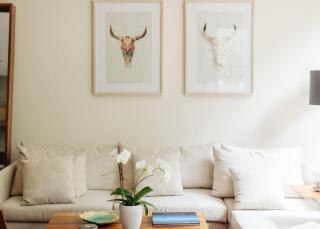 MrW | Hidden Gem Terrace in the Heart of Condesa - Città del Messico - 2