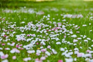 Slow House Gaładuś - 2