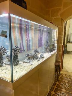 Casa Naxxar 4 Floor Townhouse and Private Pool - Naxxar - 7