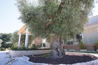 Racconti di Puglia B&B - Polignano a Mare - 4