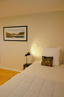 Kowhai Apartment - private opposite golf course central Wanaka - Wanaka - 6