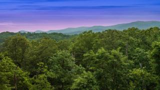 Couples Retreat, Sauna, Hot Tub, Speakeasy, Views - Cherry Log - 2
