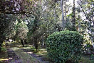 Casa de Campo Pinheirinhos - Chácara Leticia em Serra Negra - Serra Negra - 1