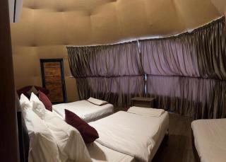 Wadi rum wellcom camp - Wadi Rum - 1