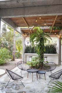 Casa Paloma, Luxury Retreat, featured in AD! - Sayulita - 9