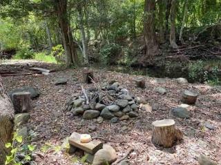 Kosmo’s Studio: City Style in a Retreat Setting! - 3