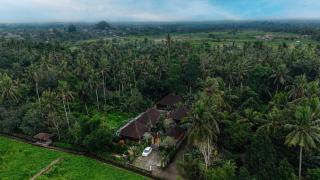 Green Zone Ubud Villas - Ubud - 9