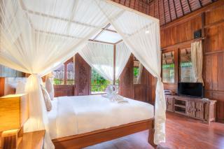 Green Zone Ubud Villas - Ubud - 1