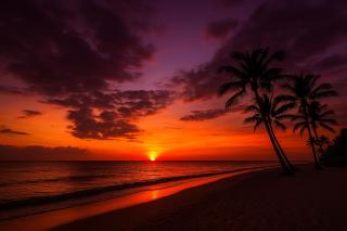 Elegant Naples Escape with Heated Pool, Sauna, Tennis & Pickleball 3 mls to Beach - Naples - 9