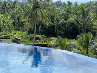 Nona Villa - Tetebatu - 0