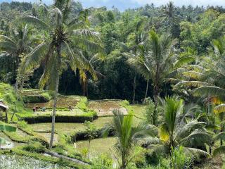 Nona Villa - Tetebatu - 8