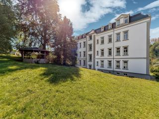 Apartment in Ore Mountains near Nature, cleaning included - Wünschendorf - 9