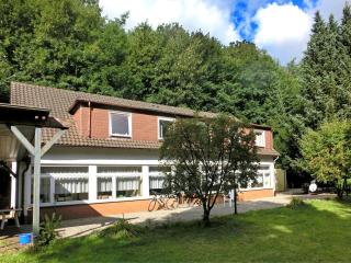 Holiday Home Löwensen near Weser Mountains, cleaning included - Löwensen - 1