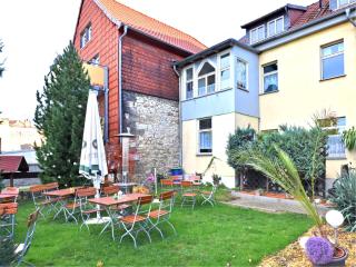 Apartment in Ballenstedt near Falkenstein Castle, cleaning included - Ballenstedt - 9