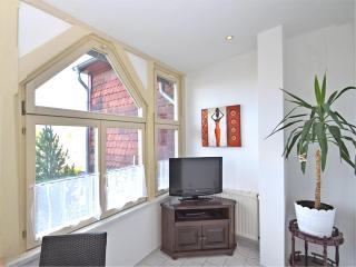 Apartment in Ballenstedt near Falkenstein Castle, cleaning included - Ballenstedt - 1
