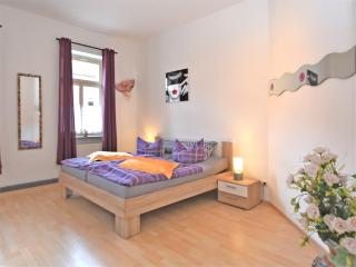 Apartment in Ballenstedt near Falkenstein Castle, cleaning included - Ballenstedt - 8