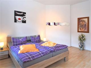 Apartment in Ballenstedt near Falkenstein Castle, cleaning included - Ballenstedt - 7