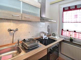Flat near the Tannenbergsthal ski resort, cleaning included - Muldenhammer - 3