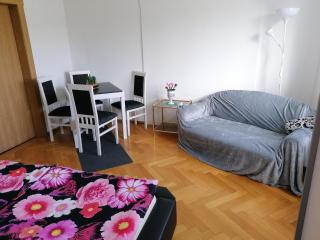 Flat near the Tannenbergsthal ski resort, cleaning included - Muldenhammer - 7