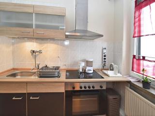 Flat near the Tannenbergsthal ski resort, cleaning included - Muldenhammer - 8