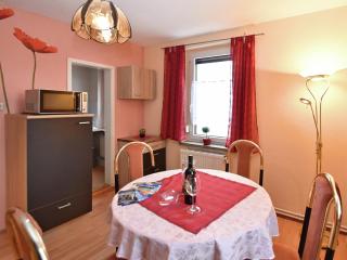 Flat near the Tannenbergsthal ski resort, cleaning included - Muldenhammer - 5